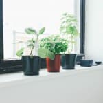 KickStartup Series: Accelerators and Incubators