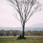 What is Consequential Loss?