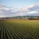 What Are the New Australian Regional Visas? | LegalVision