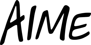 Australian Indigenous Mentoring Experience